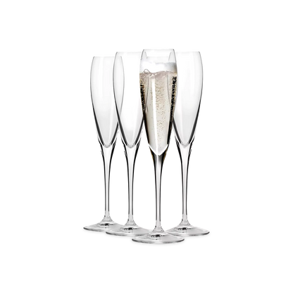 Perla - Set of 4 Champagne Flutes