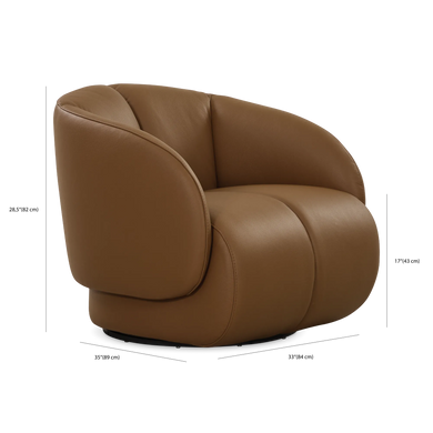 Product Dimensions image