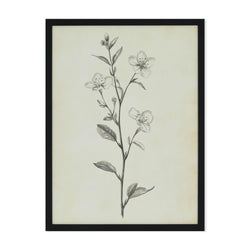 Timeless Blossom - impression cadre noir