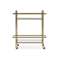 Erena - Stainless Steel Bar Cart