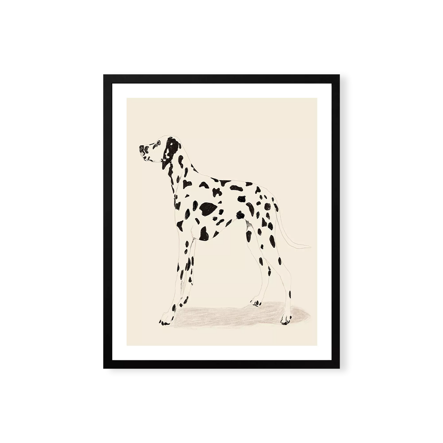 Dalmatian - Stylized Graphic Dalmatian Wall Art