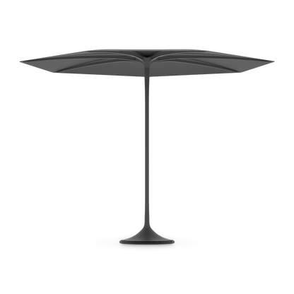 Palma Umbrella