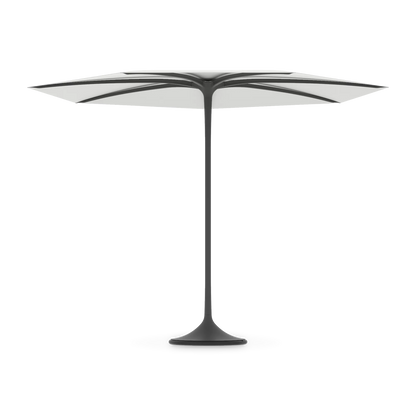 Palma Umbrella