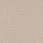 Leather, Cream swatch