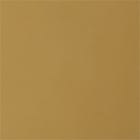 Gold swatch