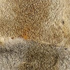 Brown swatch