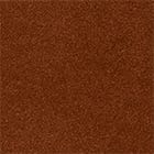 Burnt Orange swatch