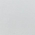 Light Grey swatch