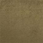 Olive swatch
