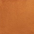 Rust swatch